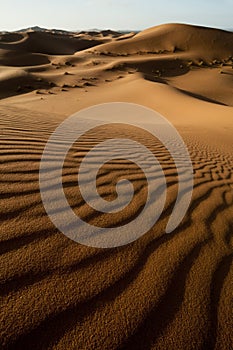 Undulating sand dunes in sahara desert