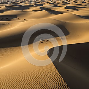 Undulating sand dunes stretch across the landscape, casting shadows in the low sun.