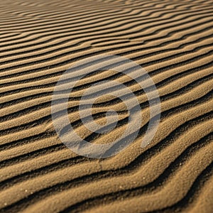 Undulating sand patterns create a mesmerizing texture of ripples