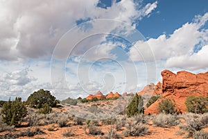 Undulating sandstone fromations of South Coyote Buttes