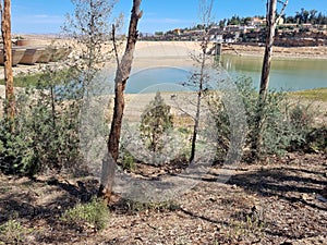 Une vache broutant Ã  cÃ´tÃ© d'un lac