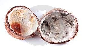 Uneatable decomposed broken coconut fruit