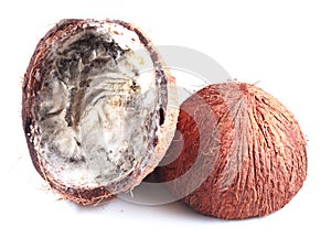 Uneatable decomposed broken coconut fruit