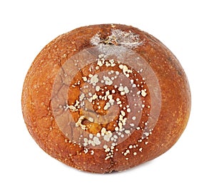 Uneatable rotten apple