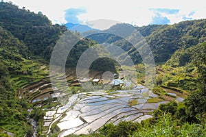 Unesco Batad Rice Terraces of the Philippine Cordilleras photo
