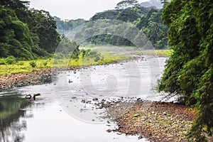 UNESCO Biosphere Reserve, Principe, Sao Tome and Principe, Atlantic Ocean, Africa