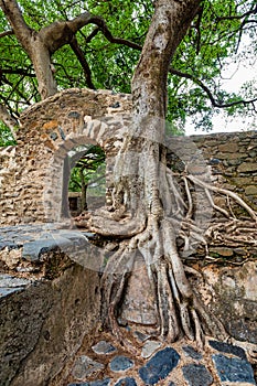 UNESCO Fasilides Bath, Gondar Ethiopia, Africa culture architecture