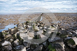 UNESCO-protected Wadden Sea between Ameland and Schiermonnikoog in the north of the Netherlands