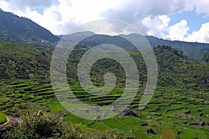 UNESCO Rice Terraces in Sagada, Luzon, the Philippines