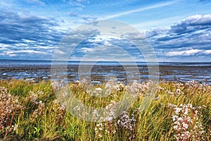 UNESCO Wadden Sea area, The Netherlands