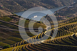 UNESCO World Heritage, the beautiful endless lines of Douro Valley Vineyards.