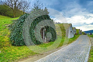 UNESCO world heritage cellars in Tokaj