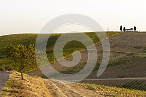 UNESCO World Heritage, the Douro Valley beautiful endless lines of Vineyards, in Sao Joao da Pesqueira, Viseu.