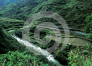 Unesco World Heritage: The Rice-terraces of Banaue on the tropic