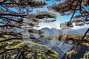 UNESCO World Heritage Site Natural beautiful landscape of Huangshan mountain scenery  Yellow mountain  in Anhui CHINA, It is a