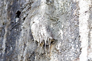 Uneven concrete wall photo