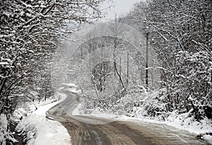 Uneven curved road through snowy forest photo