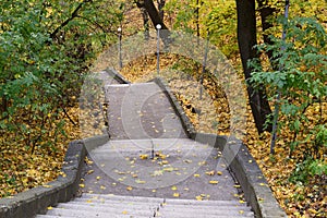 Uneven old stairs in autumn park covered with yellow leaves head