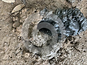 Unique textures in nature