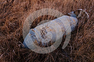 Unexploded bomb in the grass photo