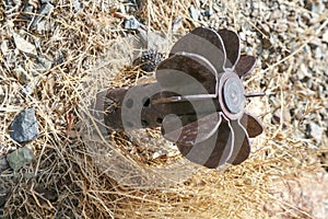 Unexploded projectile photo