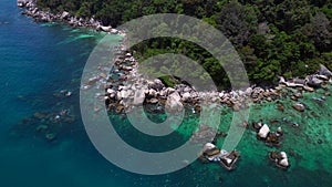 Unexplored beach palm trees smooth rocks. Nice aerial top view flight drone