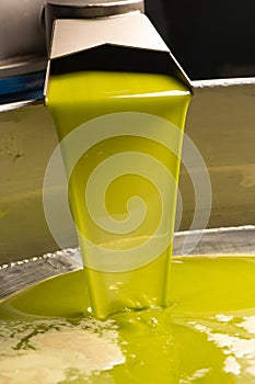 Unfiltered olive oil in an industry in Sicily