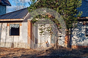 Unfinished brick country house. Abandoned cottage village overgrown with trees