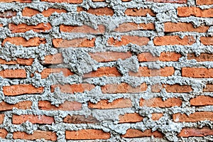 Unfinished Brick Wall, Close up