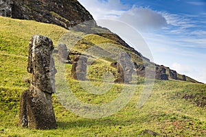 Unfinished Moai statues in a quarry