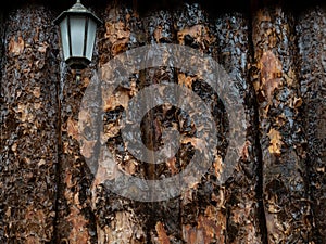 Unfinished pine board with Lamp close-up, bark, knots, texture of bark wood use as natural background, old board, board