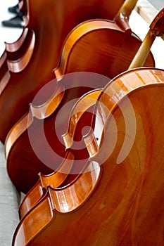 Unfinished Violins