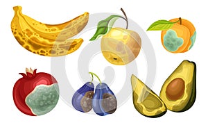 Unfit Fruits with Skin Covered with Stinky Rot Vector Set