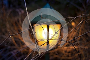 Unfocused outdoor lantern warm yellow illumination light in garden twilight lighting concept of autumn season