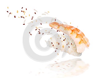 Unfolded sushi roll with ingredients closeup on white background