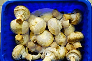Unfresh mushrooms