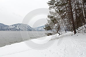 Unfrozen Lake Teletskoye in winter. Russia Altai Krai