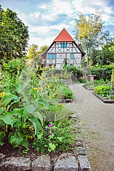 Ungersheim : Green garden with plants and flowers at the Ecomuseum of Alsace.