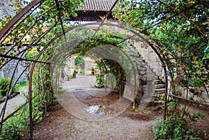 Ungersheim : Green garden with plants and flowers at the Ecomuseum of Alsace.