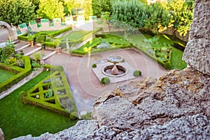 Ungersheim : Green garden with plants and flowers at the Ecomuseum of Alsace.