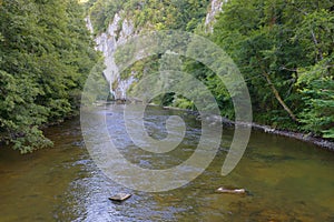 Crisul Repede river, near Unguru Mare Cave. Apuseni Mountains, Romania. photo