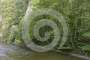 Crisul Repede river, near Unguru Mare Cave. Apuseni Mountains, Romania. photo