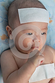 Unhappy Asian Chinese little baby child sick suffering heat from fever with cool fever jel pad on forehead