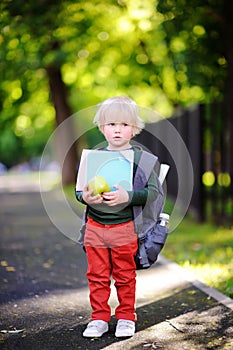 Unhappy little schoolboy on sunny autumn day. Back to school concept.