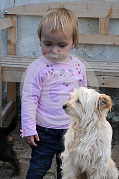 Unhappy little toddler girl and her dog