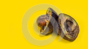 Unhelthy food Concept.