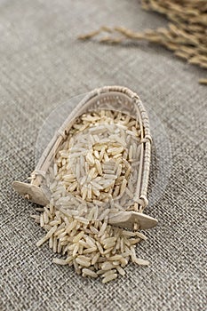 unhulled asian brown rice grains in rustic setting display in Cambodia photo