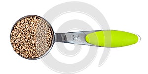 Unhulled barnyard millet seeds in measuring spoon