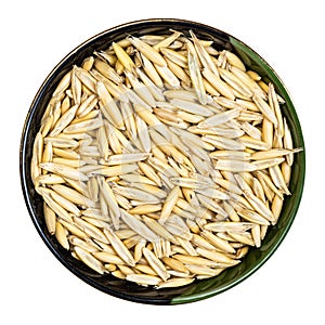 Unhulled common oat grains in round bowl isolated photo