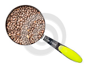 Unhulled red lentils in measuring cup cutout photo